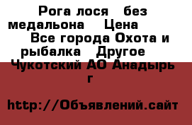 Рога лося , без медальона. › Цена ­ 15 000 - Все города Охота и рыбалка » Другое   . Чукотский АО,Анадырь г.